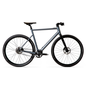 Desiknio X20 - Pinion Carbon Fork